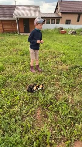 A young boy in a blue long-sleeved shirt, tan shorts, purple boots, and a baseball cap stands in a grassy yard. He is facing a calico cat lying in the grass. The boy appears to be holding something small in his hands, possibly food, and is looking down at the cat. The cat is looking down as well, seemingly focused on the boy's hands. The scene takes place outdoors in a yard with green grass and scattered weeds. In the background, there are two houses. One house is made of wood and the other is brick. There are some piles of lumber in the background. The sky is visible and appears to be cloudy. The lighting suggests it is daytime. The overall mood appears calm and peaceful.