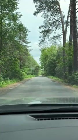 The video captures a first-person perspective from inside a vehicle driving forward on a narrow, two-lane asphalt road. The road surface is visibly cracked and has numerous potholes. Lush green trees and foliage line both sides of the road, creating a natural tunnel effect. A small, light-colored car is visible in the distance, also heading away from the camera's perspective. The sky above is overcast with clouds. The top portion of the vehicle's dashboard is visible at the bottom of the frame.