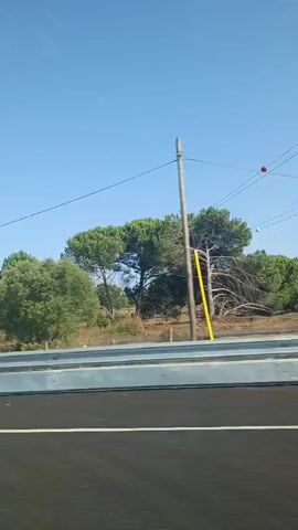 The video captures a view from a moving vehicle, likely a car, traveling on a highway. The foreground shows the dark asphalt road with a white dividing line. A reflective guardrail runs along the side of the road. In the background, a clear blue sky dominates the upper portion of the frame. Below the sky, a line of trees and vegetation creates a green landscape. Two tall electrical transmission towers are visible in the distance, with power lines stretching between them. A side mirror of the vehicle is partially visible in the lower left corner of the frame. There are also several red and white markers along the side of the road, and a few small, round objects are suspended in the air, attached to the power lines. The overall impression is of a sunny day journey along a rural highway.