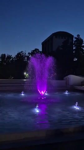 A fountain at night glows with colored lights. The central fountain jet is illuminated by purple light at the beginning of the clip, then transitions to a bright yellow. Smaller fountains around it are illuminated by blue lights. In the background, a dark silhouette of trees frames a building with a curved roof. The sky is a deep blue, indicative of twilight or night. No people are visible.