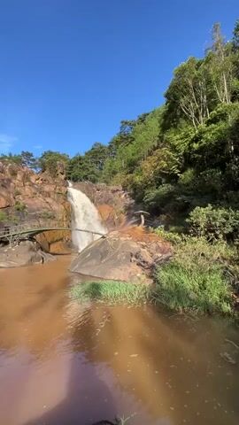 This vertical video captures a scenic waterfall cascading down a rocky cliff face into a wide, calm body of brown water. Lush green trees and vegetation surround the waterfall and line the top of the cliffs, with tall pine trees dominating the upper slopes. A clear blue sky stretches across the top of the frame, suggesting a bright and sunny day.

A small, wooden footbridge, appearing to be made of bamboo or similar material, arches across a section of the rocks to the left of the main waterfall, providing a pathway over a smaller drop or rocky outcrop. The water itself has a muddy, opaque brown color, contrasting with the white spray of the waterfall. The sunlight casts dappled shadows on the water's surface.

While there are no people visible in the frame, the presence of the footbridge suggests this is a tourist or recreational area. The overall impression is one of natural beauty and tranquility, with the sound of the waterfall likely contributing to the peaceful atmosphere. The setting appears to be a natural landscape, possibly a park or nature reserve, given the accessibility features like the bridge. The time of day is likely midday or early afternoon, due to the bright sunlight and clear sky. There is no visible text in the media.