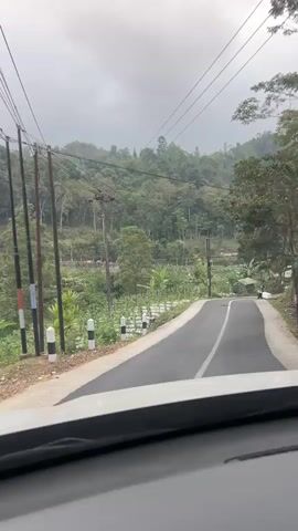 The video begins with a view from inside a vehicle looking forward through the windshield. A paved road curves to the right, bordered by a white and black striped barrier on the left. Beyond the barrier, a terraced field with rows of plants is visible, possibly a farm. Overhead, power lines are strung between poles. To the right of the road, a person on a motorcycle is riding away from the camera. The road continues to ascend a hill covered in lush green trees and vegetation. The sky is overcast. As the vehicle moves, the motorcycle becomes more distant, and a large tree with dense foliage is seen on the right side of the road. The scenery suggests a rural, mountainous area.