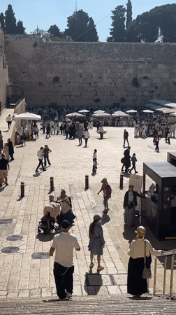 Morning scenes across Jerusalem's Western Wall and Temple Mount