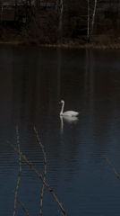 Casual waterfront outing documented in Zav'yalovo, Russia