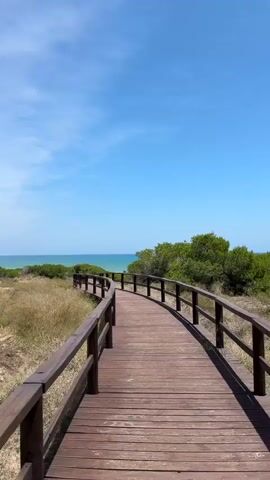 A long, winding wooden boardwalk with railings on both sides leads through dry, grassy dunes toward the distant ocean under a bright blue sky. Green bushes line the right side of the boardwalk, and the turquoise water of the sea is visible in the distance, meeting the horizon.