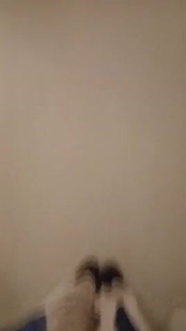 The video shows a room that appears to be undergoing renovation. The walls are painted white and a ladder is leaning against one of them. There is a table with chairs around it, all covered in plastic wrap. A television is mounted on the wall in the background. The room is brightly lit.