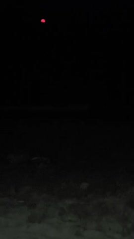 The video captures a dark, nighttime scene. The camera appears to be focused on the ground in the foreground, which is indistinct and appears to be a rough, possibly sandy or gravelly surface with some darker shapes that could be rocks or debris. In the upper portion of the frame, in the deep blackness of the night sky, a small, reddish-orange circular light is visible. The light is stationary throughout the brief recording. There are no people, animals, or other identifiable objects visible in the video besides the light and the ground. The overall impression is that of a still, silent night with a solitary, unexplained light in the distance.