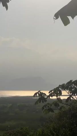 The camera pans up from a view of water shimmering golden from the sun to a hazy, pale sky with mountains in the distance, partially obscured by clouds. The foreground features green trees and foliage, silhouetted against the bright background.