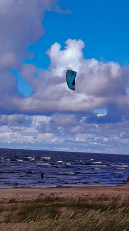 Kitesurfers and driftwood structures on a Baltic beach
