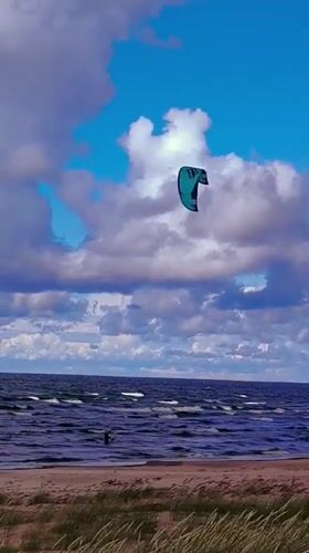 Kitesurfers and driftwood structures on a Baltic beach