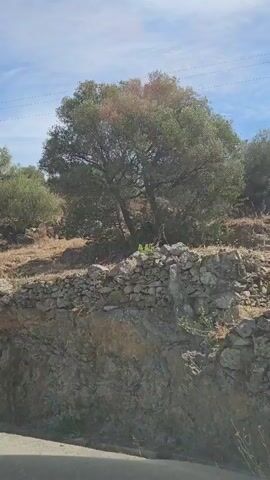The video shows a car driving along a rural road. The road is lined with rocky terrain and sparse vegetation, including trees and prickly pear cacti. The sky is blue with some clouds. The car appears to be moving at a moderate speed.
