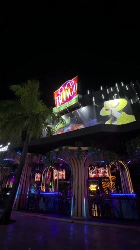 Coco Bongo venue lit up at night in Punta Cana
