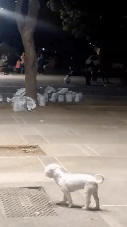People sleeping rough in a Caracas plaza late at night