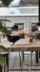 Barcelona street life and dining scenes documented Sunday afternoon