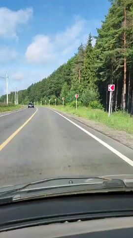 The video shows a view from inside a car as it drives along a paved road. The road has a yellow line down the center and a white line on the right edge. On the right side of the road, there is a dense forest of green trees. Several red and white road signs indicating curves are visible along the edge of the forest. The sky is blue with scattered white clouds. A black car is visible in the distance ahead, traveling in the same direction.