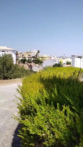 A paved road with a pedestrian crossing is visible in the foreground. To the right, a dense, green hedge occupies the lower portion of the frame. Beyond the hedge and road, there is a patch of dry grass with scattered trees and bushes. In the background, several multi-story buildings with white facades and balconies are visible. Palm trees are interspersed among the buildings and vegetation. The sky is a clear, bright blue. The scene appears to be an outdoor environment in a sunny climate.