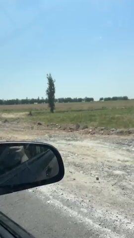 A rear-view mirror view from a vehicle on a dirt road shows a landscape with a tall, thin tree in the distance, surrounded by fields and more trees. The road is rough and uneven, with debris scattered on it. The sky is clear and blue, indicating a sunny day. The vehicle appears to be moving forward, with the scenery changing slightly over the few seconds of the video. There are no people visible outside the vehicle.