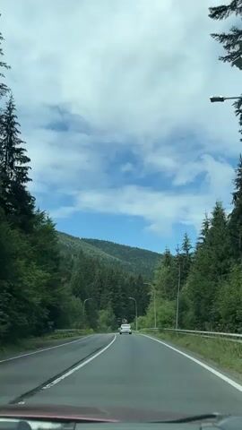 A car is driving down a road through a forest. The road is paved and has white lines marking the lanes. There are trees on either side of the road, and mountains in the background. The sky is cloudy.