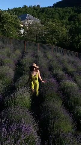 A woman wearing a lime green slip dress and a wide-brimmed straw hat walks through a field of lavender. The sun is low in the sky, casting long shadows and illuminating the purple flowers. In the background, a wooden fence borders the field, and beyond that, a house and trees are visible on a hill. The woman's arms are outstretched, and her expression is serene. The overall atmosphere is peaceful and idyllic, suggesting a warm, late afternoon or early evening in the countryside. The location is Verkhneye Uchdere, Russia.