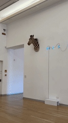 Visitor documents art gallery tour with Duomo views in Milan
