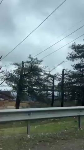 The video shows a roadside view from a moving vehicle. On the left, there's a metal guardrail and a grassy shoulder. Beyond that, a dense cluster of pine trees obscures the view. In the background, a construction site with cranes and metal structures can be partially seen through the trees. Above, a cloudy sky dominates the view, with power lines crisscrossing the scene.