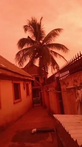 This media file captures a surreal scene in Obada, Nigeria, under an intensely orange sky. The color of the sky suggests an unusual atmospheric event, possibly dust or smoke, creating a dusky, otherworldly ambiance. The time of day is unclear due to the pervasive orange hue, but the lighting suggests it could be either dawn or dusk, or even midday under heavily obscured sunlight.

The scene is set in a residential area, with buildings and outdoor elements of everyday life visible. On the left, a single-story building with a corrugated metal roof and a few windows is prominent. A narrow pathway runs alongside it, leading deeper into the scene. Further back, a tall palm tree stands silhouetted against the orange sky, its fronds appearing dark and distinct. To the right, a satellite dish is mounted on a structure, with water droplets visible, hinting at recent or ongoing moisture. The edge of another building and a fence with pointed wooden stakes are also visible, contributing to the residential setting. The overall impression is one of an ordinary place experiencing an extraordinary sky.

There are no people visible in the media file. The focus is entirely on the environment and the striking visual phenomenon of the orange sky. The lack of clear shadows or distinct sunlight makes pinpointing the exact time of day difficult, but the overall atmosphere is one of muted light and unusual color saturation. The presence of residential buildings and common outdoor objects like a satellite dish firmly place the scene in a populated area, likely a neighborhood. The peculiar sky evokes a sense of wonder or perhaps even unease due to its unnatural appearance. No visible text is present in the media file.