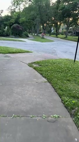 A sidewalk and grassy area with small white flowers is in the foreground. Behind the grass is a street intersection with a street sign indicating "Townley" and "Lomond". Houses and trees are visible in the background. The sky is overcast with a hint of sunset.