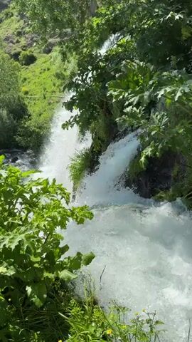 A close-up, vertical, medium-angle shot shows a waterfall cascading down a rocky, green hillside. Lush green foliage, including large-leafed plants, frames the foreground and the top of the waterfall. The water is white and turbulent as it plunges downwards, creating spray. The sun is shining, illuminating the scene and creating bright highlights on the water and foliage. The environment appears natural and wild. There are no people or man-made objects visible in the frame.