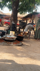 Man arrives by motorcycle during palm fruit processing in Akwanga