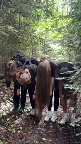 A group of four young women are bending over in a forest with their heads down. Their hair hangs down in front of them, obscuring their faces. The woman on the far left has blonde hair. The woman next to her has blonde hair and is wearing a tan baseball cap. The third woman from the left has very long brown hair. The woman on the far right is wearing a black hat. They are all wearing casual clothing, including backpacks on some of them. The ground is covered in leaves and dirt. The trees are tall and green, with sunlight filtering through the canopy.
