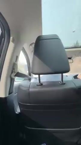 The camera is positioned inside a moving vehicle, likely in the back seat. The focus is on the back of the front seat, upholstered in black leather, with a headrest. A seatbelt is visible on the side. Through the windows, a blurry landscape with trees, a road, and a metal guardrail can be seen passing by. The car has a large sunroof overhead, allowing a view of the sky. The lighting suggests it is daytime. The vehicle appears to be traveling on a road outside of a city, indicated by the natural landscape.
