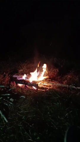 A campfire burns in a dark outdoor setting. The fire is made up of several pieces of wood, some of which are burning brightly. Flames are visible, reaching upwards and glowing with a mix of yellow, orange, and red hues. Smoke rises from the fire. The surrounding ground appears to be covered in dry grass and twigs, with more branches scattered around the perimeter of the fire pit. The overall scene is dimly lit, with the campfire providing the primary light source.
