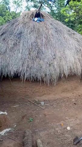 The video shows a traditional, thatched-roof hut in a rural setting. The hut is made of mud and sticks with a thick, straw roof.  A wicker basket filled with white items sits nearby on the ground.  The ground is dirt and leaf litter.  Green foliage surrounds the structure, including trees and shrubs.  There is music playing in the background.
