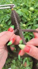 Person with watermelon nail art braids hair in Russia