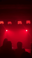 Moscow nighttime events: music venue performance, tree decoration captured