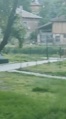 The video shows a static, outdoor view of a grassy, unkempt park area with a concrete path running through it. In the background, there are two buildings, one made of brick and the other of wood with a large, boarded-up door. A green chain-link fence separates the park area from the buildings. There is a yellow and green playground climbing structure in the right side of the frame. A dog runs along the path in the middle of the scene, near the fence. The lighting suggests it's a cloudy day. A tree is visible in the foreground. There is audible speech in the background.