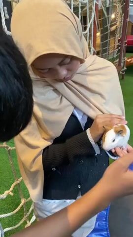 A young person wearing a light brown hijab and a black cardigan over a white shirt is holding a small guinea pig in their left hand. The guinea pig has brown and white fur. Another person, whose back is to the camera and only their dark hair and left arm are visible, is extending their right hand towards the guinea pig. The second person's fingers are touching the guinea pig's nose area. The background appears to be an indoor play area with green Astroturf on the floor and a rope net structure. The lighting is dim.