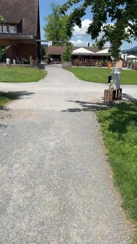 The video opens with a static, eye-level shot of a gravel path forking into two directions under a bright blue sky. To the left of the path, a two-story building with a brown roof and wooden siding is visible, featuring a porch or outdoor seating area where several people are present. To the right of the path, a white milk churn rests on two wooden crates in a grassy area. Further in the distance, an outdoor restaurant or cafe area with multiple white sun umbrellas and tables is visible. Lush green grass borders both sides of the gravel path. A tree branch with green leaves extends into the upper right portion of the frame, partially obscuring the sky. Distant green hills or mountains are faintly visible on the horizon. The scene appears to be a sunny day outdoors.
