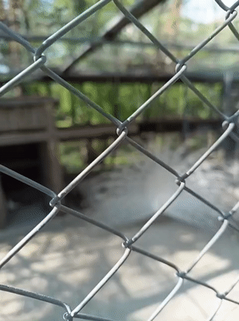 Visitor documents animals and grounds at Karnobat zoo