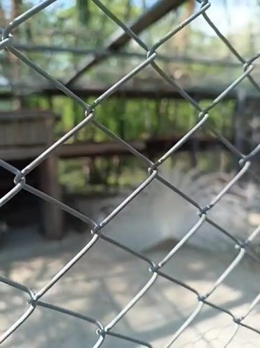 Visitor documents animals and grounds at Karnobat zoo