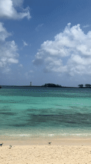 Caribbean beach tourism activities documented across 30-minute span