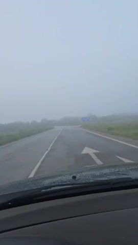 The video, filmed from the interior of a car, shows a drive through a foggy or misty landscape during the daytime. The dashboard and a wet windshield with visible water droplets are prominent in the foreground, indicating the perspective from the driver's seat. The vehicle is on an asphalt road with a clear white dividing line down the center.

Ahead, the road curves slightly, and a junction or fork is visible. A blue road sign, partially obscured by the fog, is visible on the right side of the road. Visible Cyrillic text on the sign includes "ГОЛНА РОСИЦА 3" (Gorna Rositsa 3), and possibly another destination "ГОРНА ПАЛЕЧКА" (Gorna Palechka) with a distance marker like "10" or "15". This text aligns with the provided location context of Gorna Rositsa, Bulgaria. Green fields and trees line the road, their forms softened and blurred by the thick fog, creating an atmosphere of reduced visibility. The road surface appears damp, suggesting recent rain or heavy moisture from the fog. The car briefly turns its side to the right, showing the A-pillar and side view mirror before returning to a forward view.