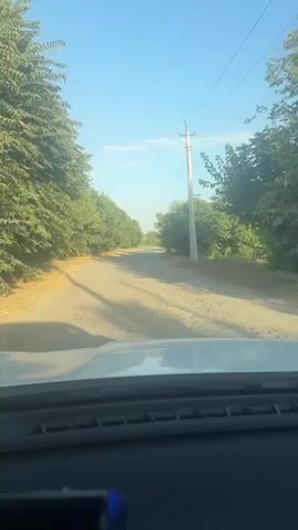This is a first-person perspective video looking out of a car's windshield. The car is driving on a dirt road lined with trees on both sides. There are telephone poles and wires visible along the right side of the road. The sky is clear and blue with a few scattered clouds. The sun appears to be shining, casting shadows on the road. The interior of the car is visible in the foreground, including the dashboard and a smartphone mount. The video appears to be a short clip, possibly of a scenic drive.
