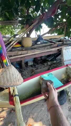 The video shows a first-person perspective of a hand holding a small, brown, rough object, possibly a stone or a piece of wood. The hand is positioned near the front of a white and red boat, which appears to be on a sandy shore. The boat contains a light blue cushion. Behind the boat, there is a collection of debris and construction materials, including wooden planks, bamboo poles, and some discarded items. A woven basket and a dark object, possibly a helmet, are visible on top of the wooden structure. A colorful umbrella, with rainbow-colored fabric, is leaning against some bamboo poles on the left side of the frame. Trees with green leaves are overhead, and the background suggests an outdoor, possibly tropical, environment with a glimpse of water in the distance. The lighting indicates it is daytime, likely late afternoon or early morning due to the warm tones. The overall scene appears to be cluttered and somewhat unkempt.