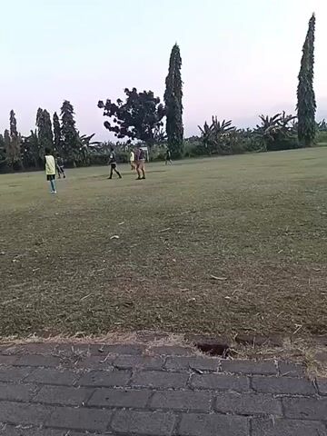 The video shows a wide, grassy field with several people playing soccer. There are tall trees and some smaller trees in the background, as well as a cloudy, pale sky. In the foreground, there is a paved area made of bricks. The people appear to be young and are spread out across the field, some kicking a ball and others running. The overall atmosphere is casual and recreational.