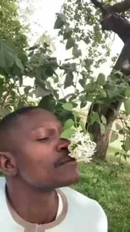 A man is seen in an outdoor setting, standing close to a plant with white flowers. He holds the flowers up to his nose as if to smell them. The background shows greenery and a tree. An airplane flies overhead, and the sound of an engine is heard in the video. The man appears to be enjoying the scent of the flowers before the sound of the aircraft overwhelms the recording.