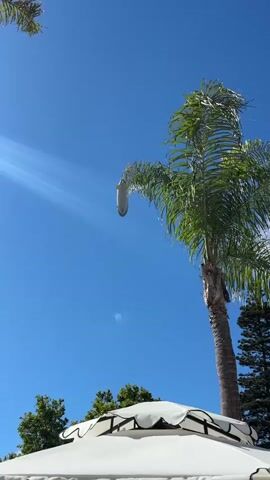 The video begins with a view of a clear blue sky with sunlight streaming in from the left. A palm tree occupies the right side of the frame, with its fronds reaching towards the sky. In the distance, a white umbrella with black trim is visible. A silver and yellow blimp is suspended in the air, partially obscured by the palm tree's fronds. The blimp appears to be stationary. The video then zooms in slightly on the blimp. The final shot shows the blimp from a slightly different angle, still in the sky next to the palm tree. There are no people visible in the video.