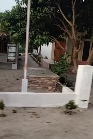 The video, captured vertically, begins with a slightly blurry shot of a beige house with white pillars and dark doors. Potted plants are visible on the porch. The camera then pans to the right, showing a concrete path and what appears to be a concrete bench or table structure, partially obscured by palm fronds. As the video continues, the camera moves along the concrete path, revealing more of the surroundings. A small, modern-looking house with gray siding and windows comes into view. Further along the path, a more rustic building constructed with bamboo is visible, with palm trees in the foreground. The video ends with a view of more of the bamboo structure and palm trees. The overall environment appears to be a rural or tropical setting, possibly a residential area with modest housing. There are no people visible in the video.