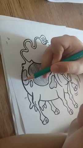 A person's hand holds a green pencil and colors a drawing of a cow. The drawing is on white paper, which is on a wooden surface. The cow is black and white with spots. The person is coloring one of the black spots on the cow's body with a green pencil. The drawing shows the cow's legs and tail. The tail is curly and has a tuft of hair at the end. The cow has bells around its neck. The person is right-handed and is coloring the left side of the cow. The video is shot from a high angle.