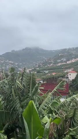 The video shows a hillside village on a cloudy day. Lush green banana trees fill the foreground, with a jumble of houses with red roofs nestled on the slopes of a verdant hill behind them. The sky is overcast and gray, and the upper part of the hill is shrouded in fog. The sound of church bells rings in the air.